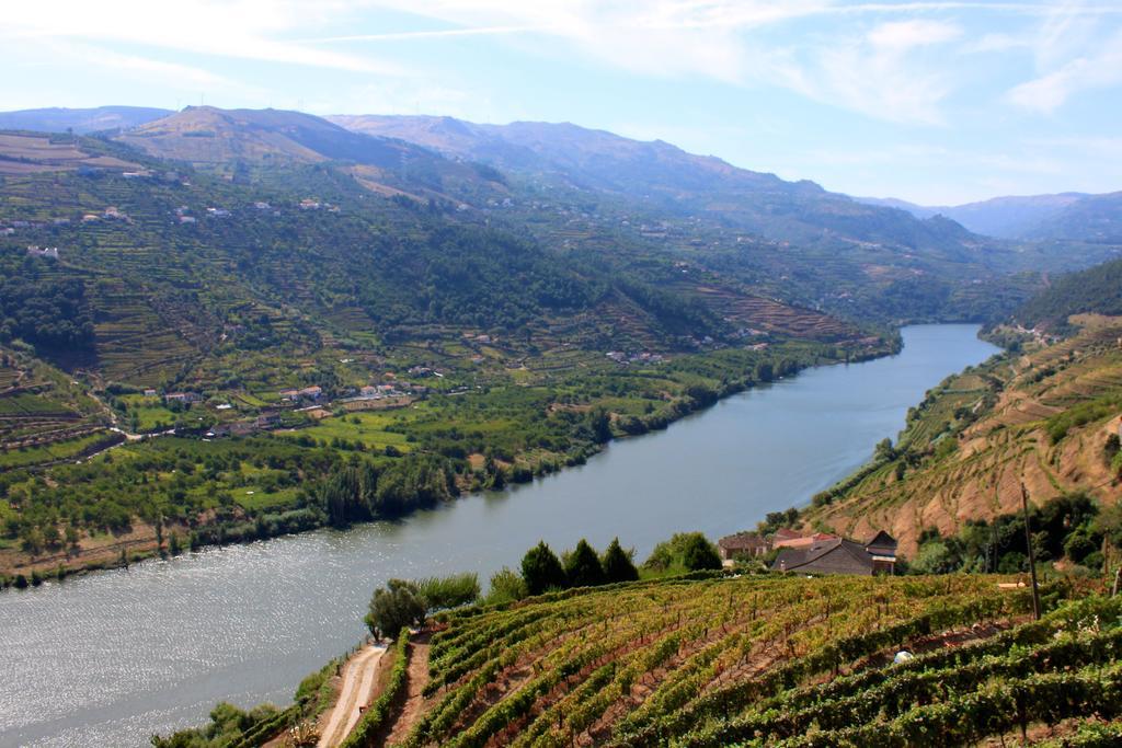 Camping Lamego Douro Valley Экстерьер фото