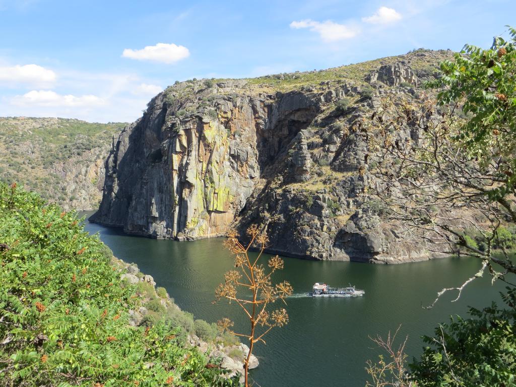 Camping Lamego Douro Valley Экстерьер фото