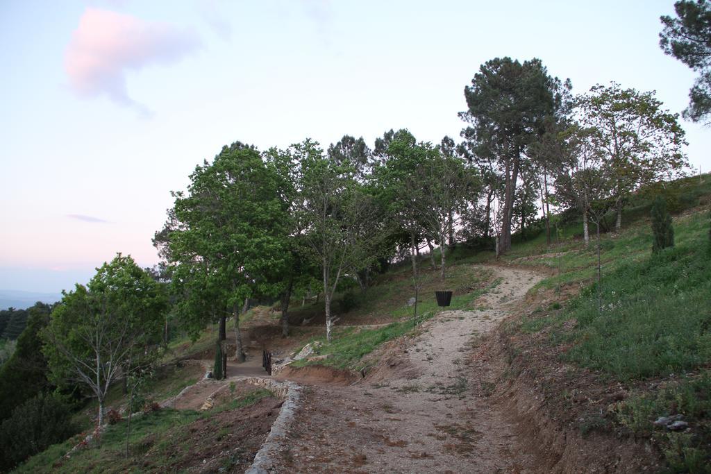 Camping Lamego Douro Valley Экстерьер фото