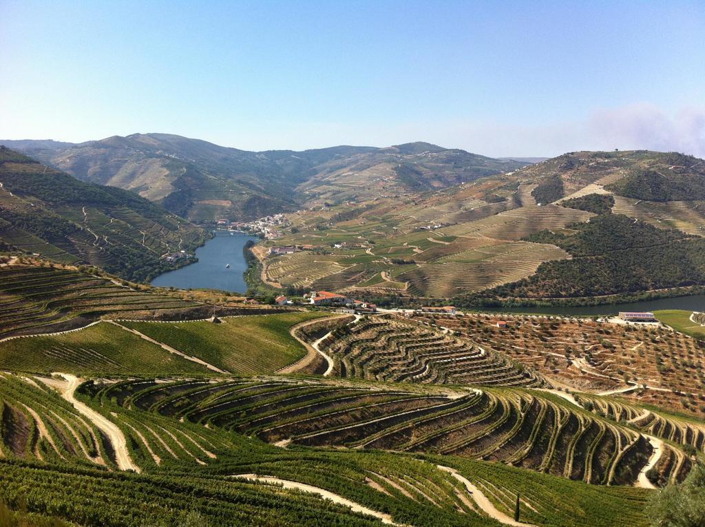 Camping Lamego Douro Valley Экстерьер фото